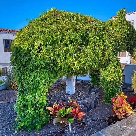 Ona Rosas 4* Пуэрто-де-Сантьяго